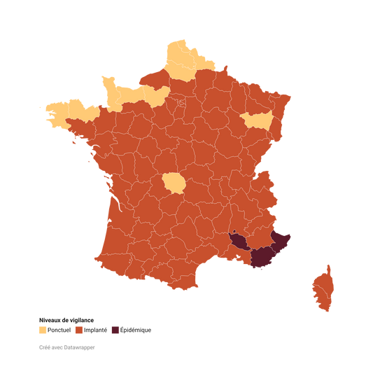 Carte du moustique tigre en France en 2026 : quels départements sont touchés ?