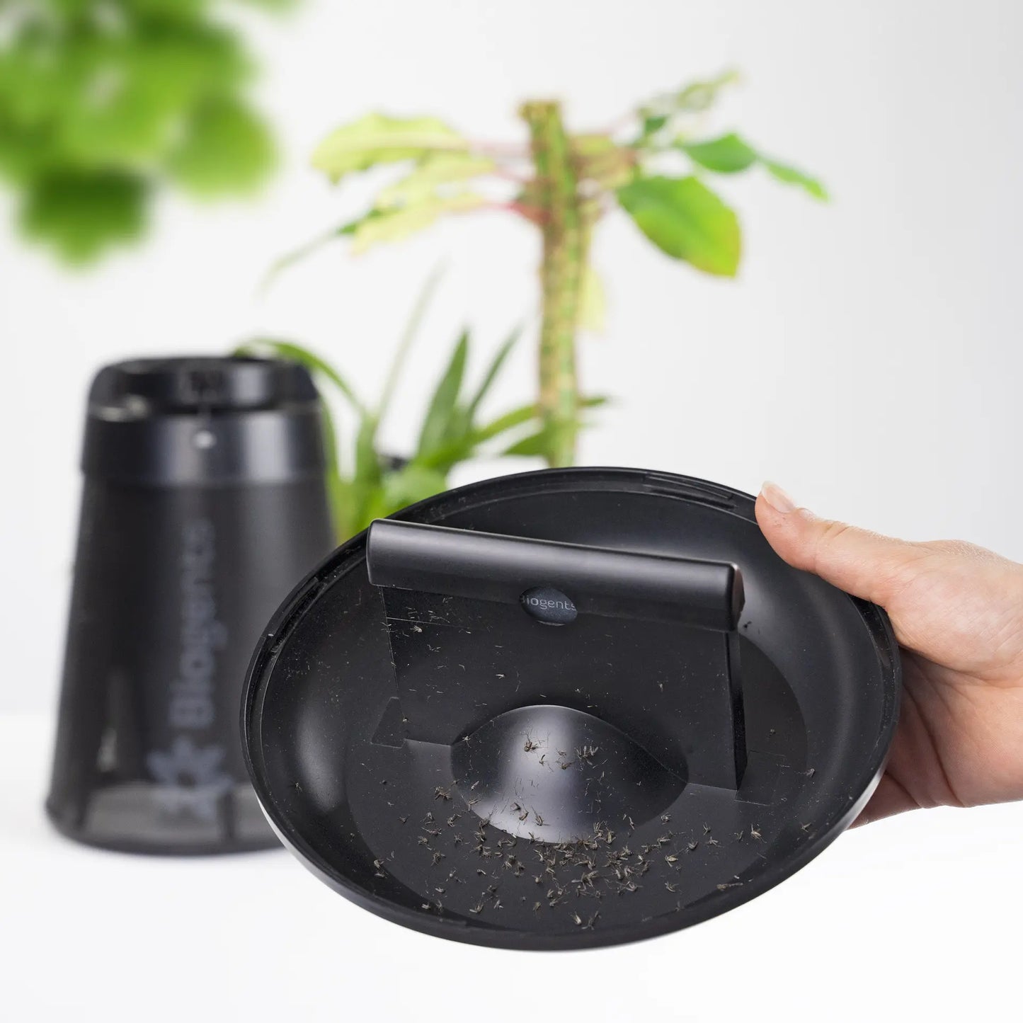 BG-Home — Piège anti-moustique intérieur