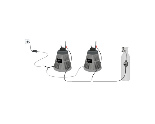 Pack réseau 2 BG-Protector — Protection professionnelle jusqu'à 600 m²